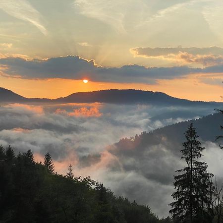Landeckhof Villa Oberwolfach Bagian luar foto