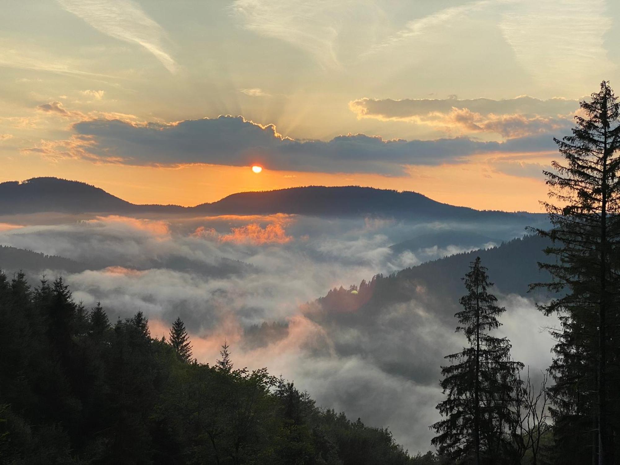 Landeckhof Villa Oberwolfach Bagian luar foto