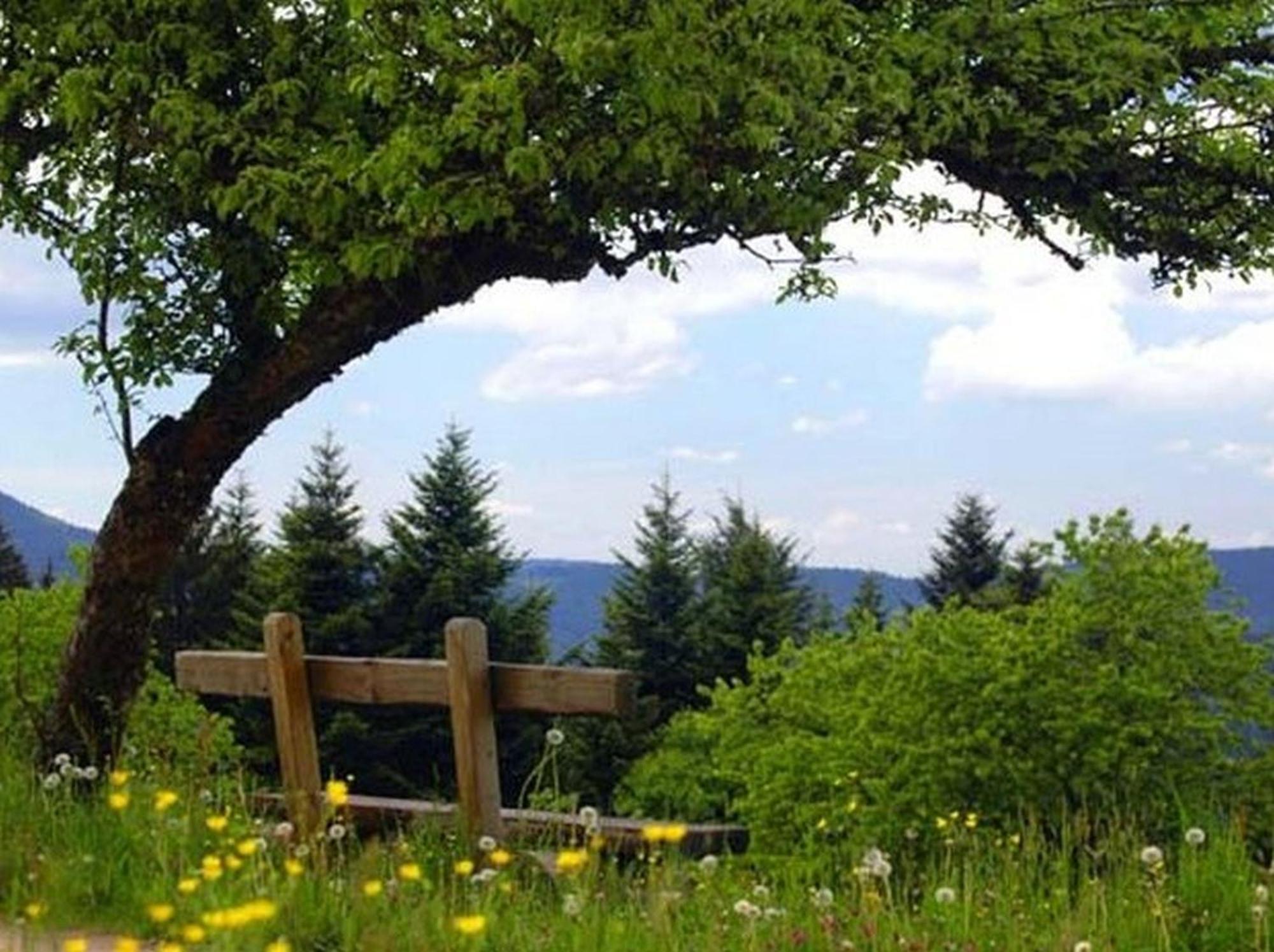 Landeckhof Villa Oberwolfach Bagian luar foto