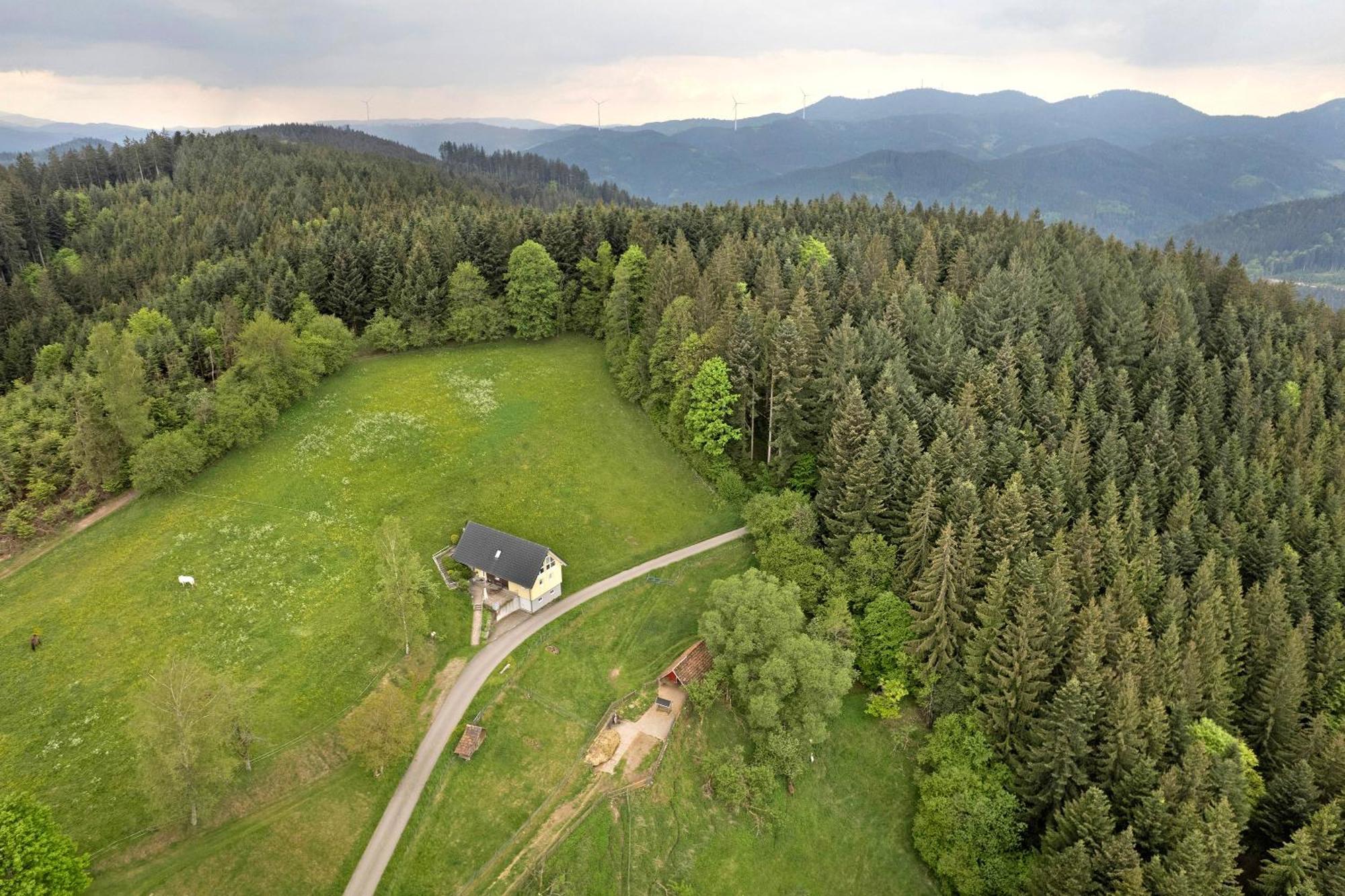 Landeckhof Villa Oberwolfach Bagian luar foto